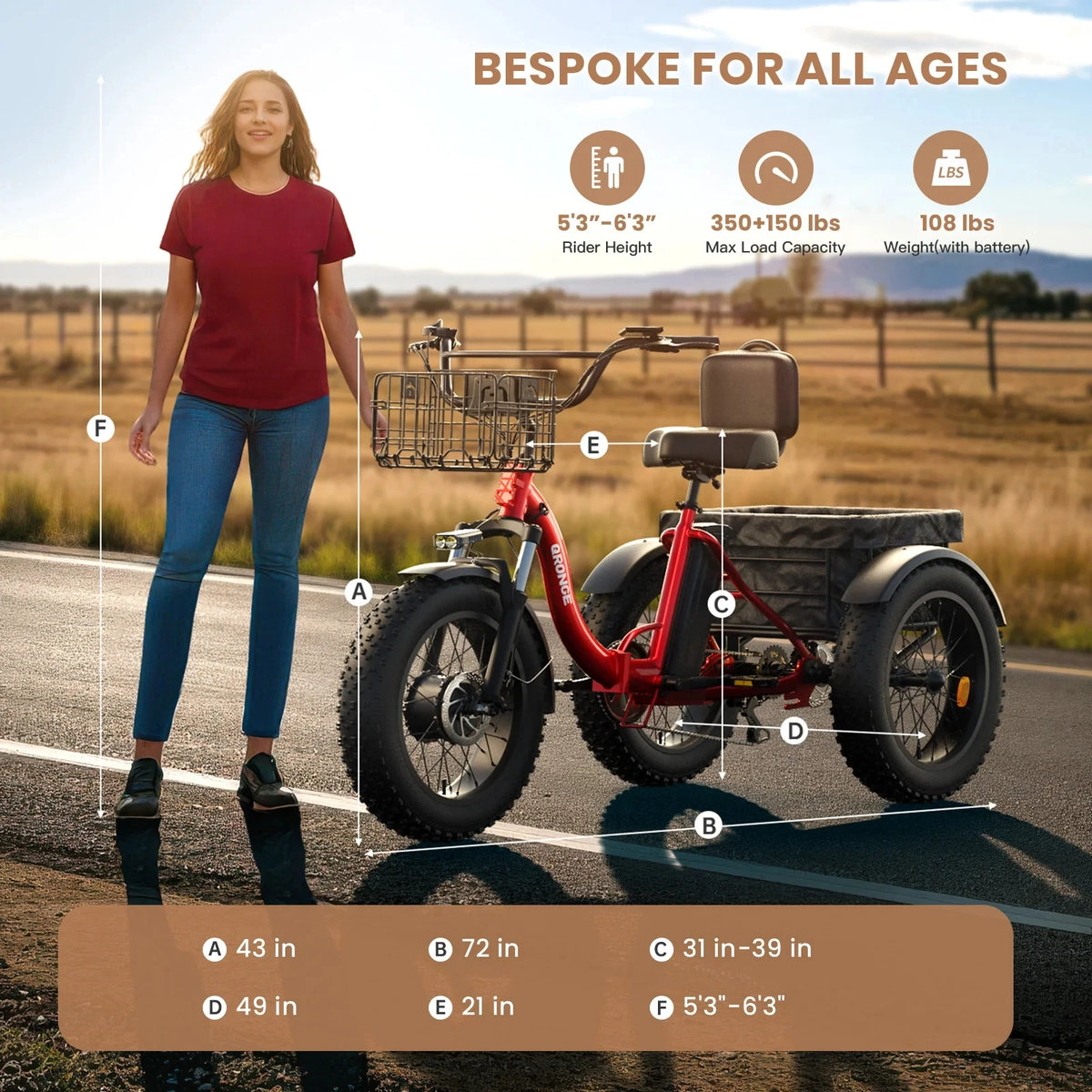 Qronge 1200W Adult Electric Tricycle With Shimano Seven Speed Gears