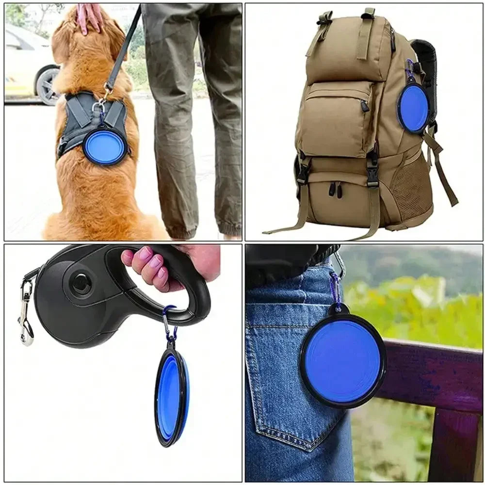 Folding Portable Pet Bowl And Food Dispenser With Carabiner