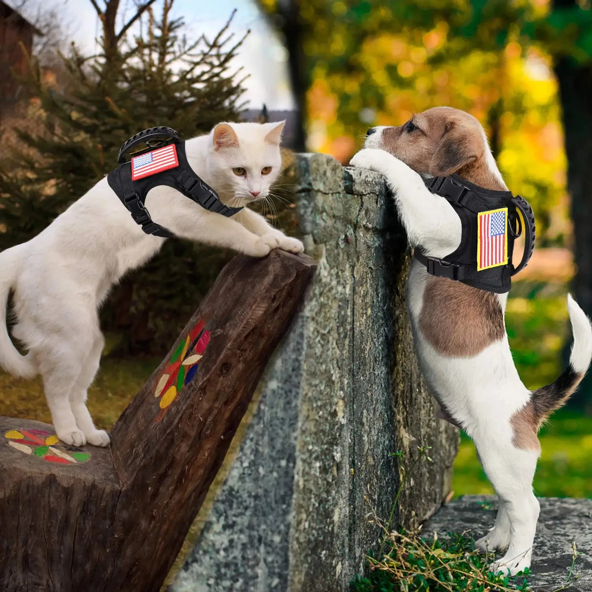 Adjustable Padded Tactical Pet Harness With Leash Set For Puppies