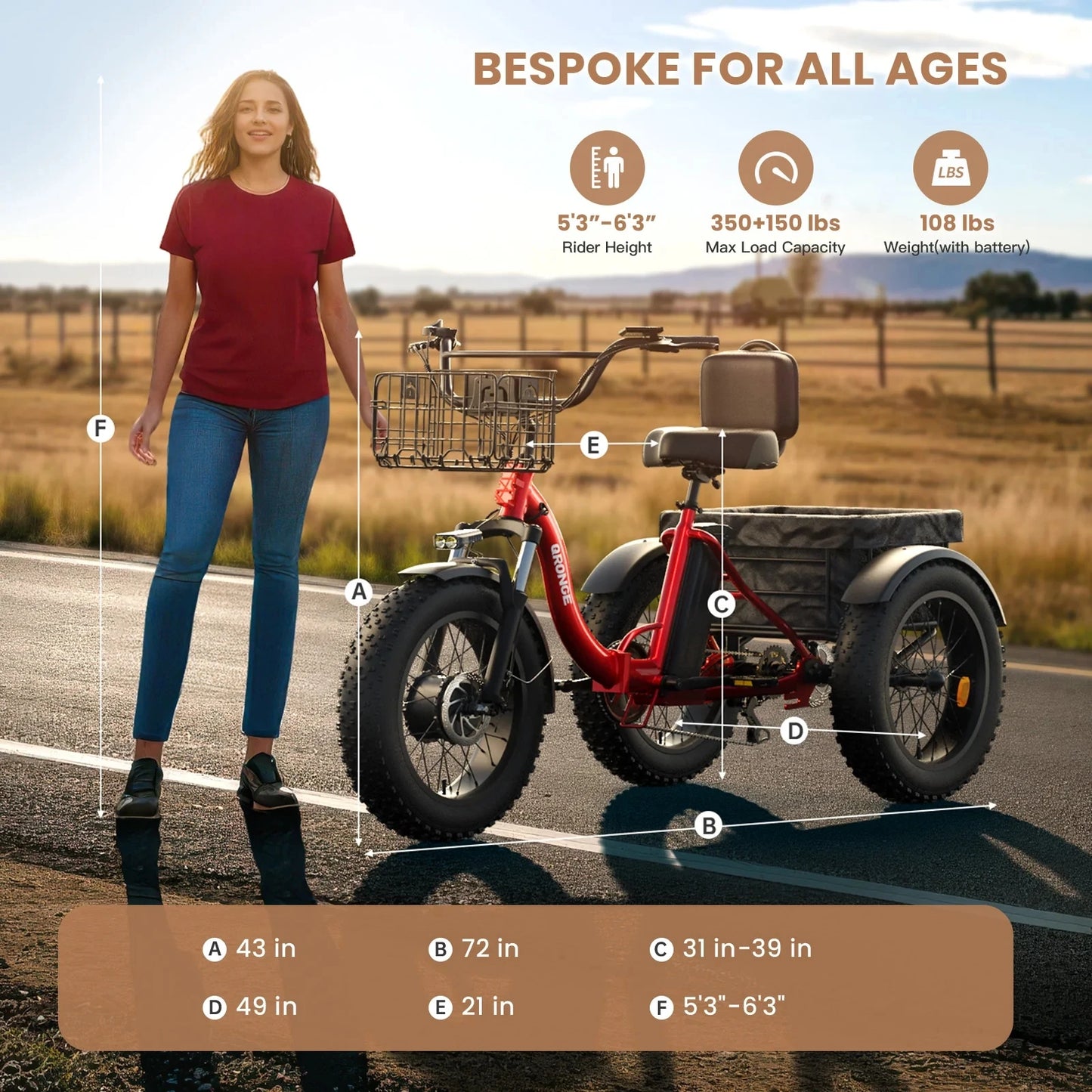 Qronge 1200W Adult Electric Tricycle With Shimano Seven Speed Gears