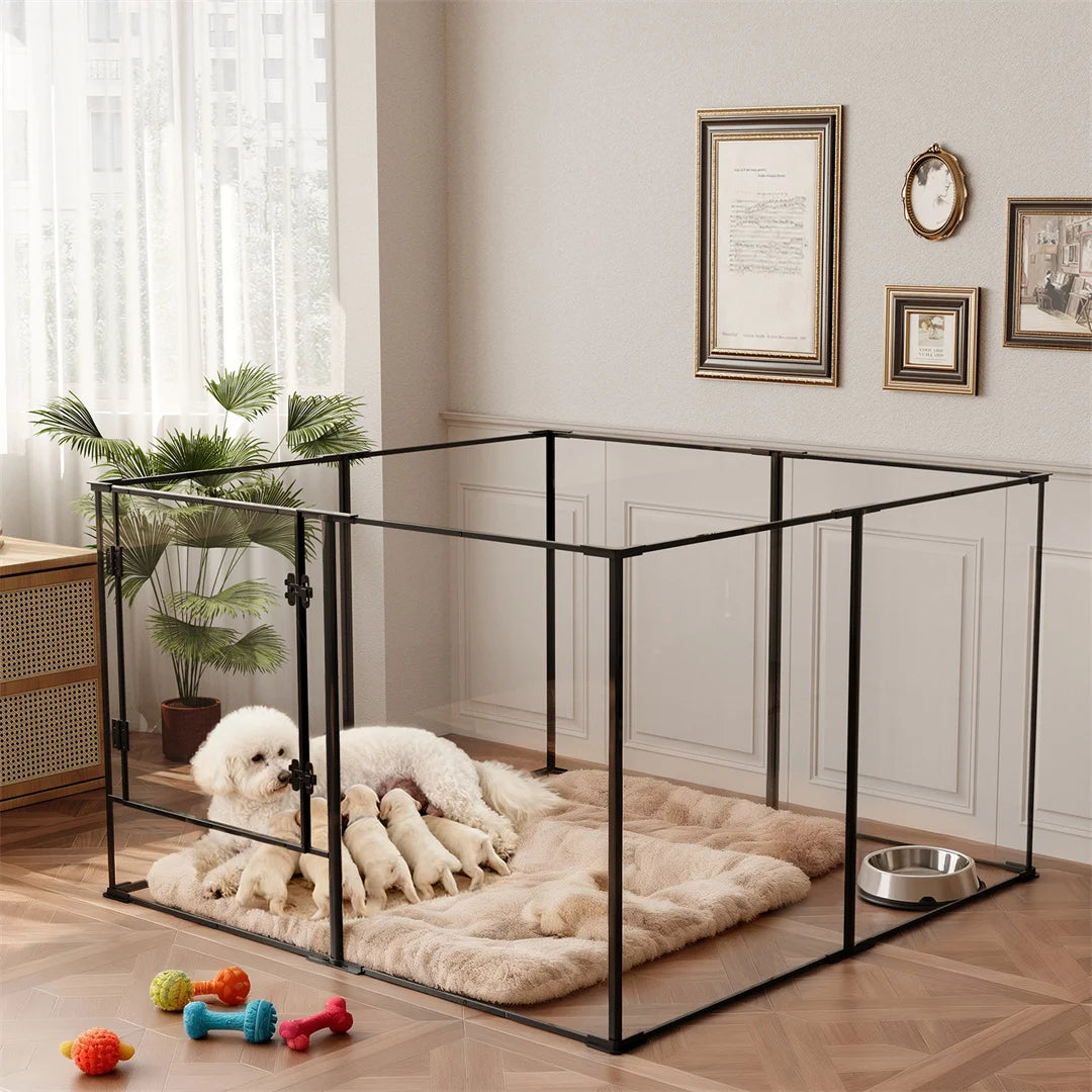 BINGOPAW Acrylic Dog Playpen for Indoor Exercise and Puppy Training