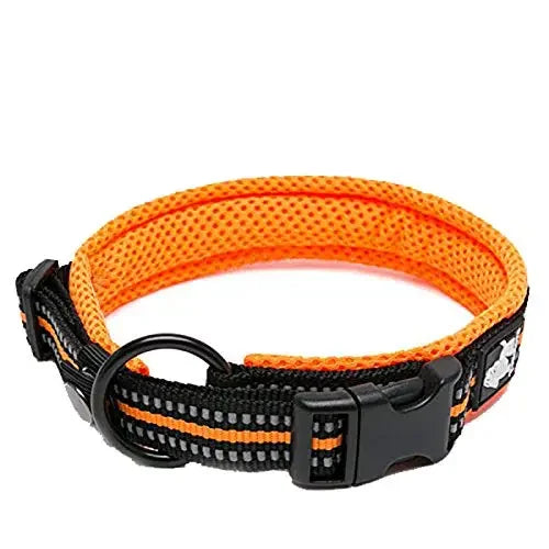 TrueLove Adjustable Padded Reflective Nylon Dog Collar