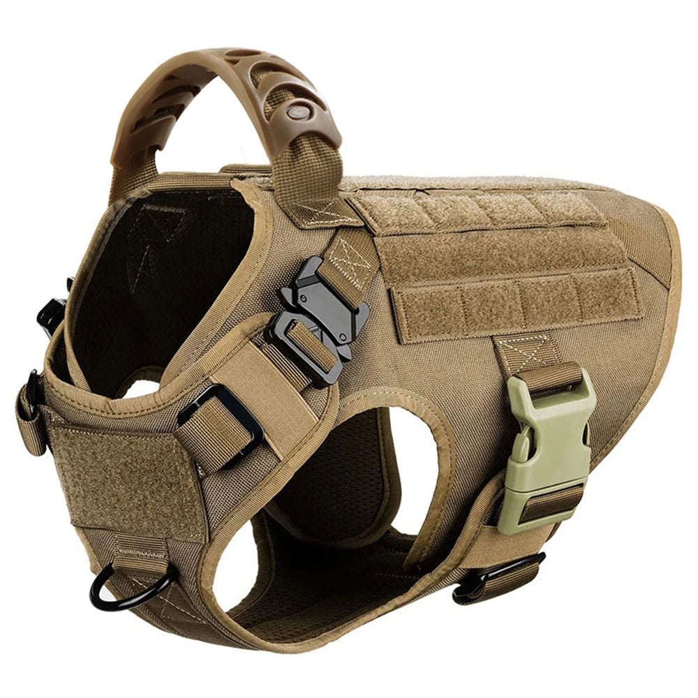 Padded Nylon Dog Harness And Leash Set For Training Walks