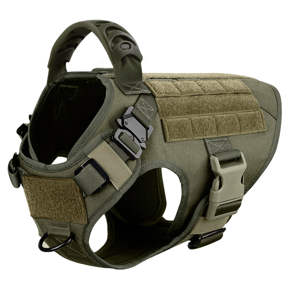 Padded Nylon Dog Harness And Leash Set For Training Walks