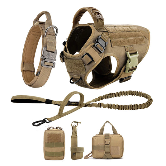 Padded Nylon Dog Harness And Leash Set For Training Walks