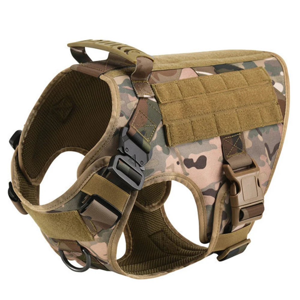 Padded Nylon Dog Harness And Leash Set For Training Walks
