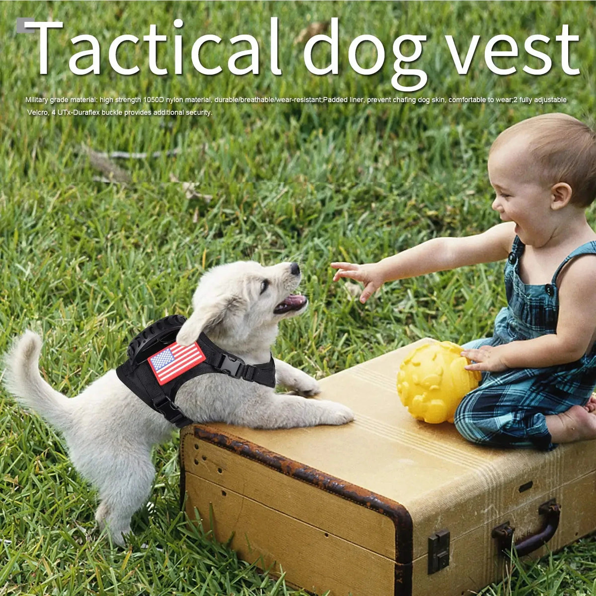 Adjustable Padded Tactical Pet Harness With Leash Set For Puppies