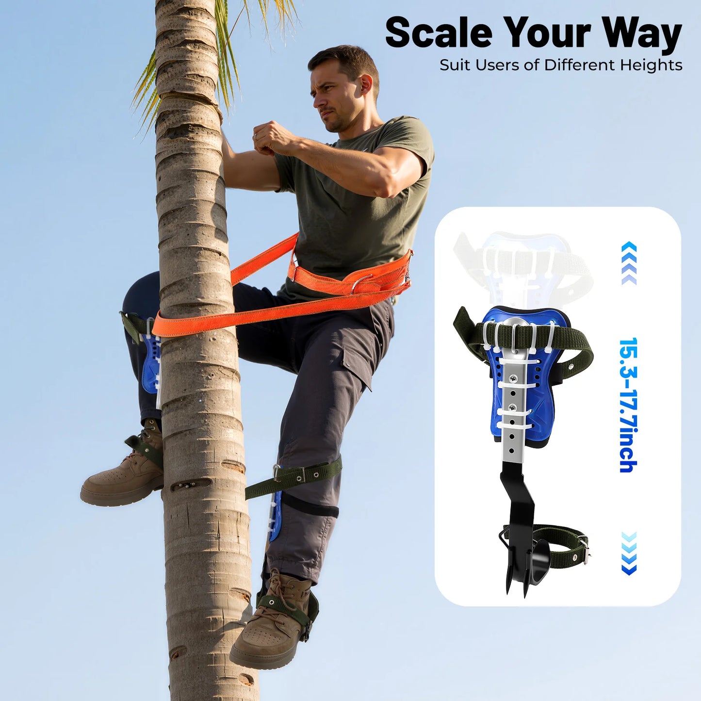Professional Adjustable Tree Climbing Spikes With Safety Belt