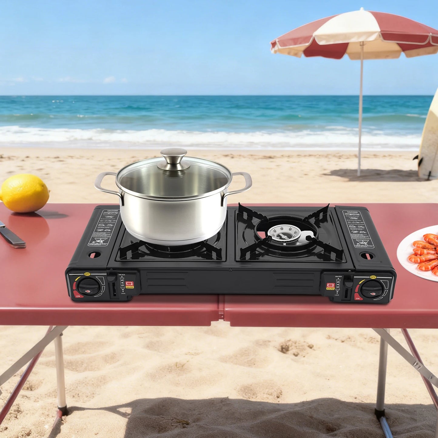 Portable Two Burner Camping Stove With Auto Ignition Carry Case