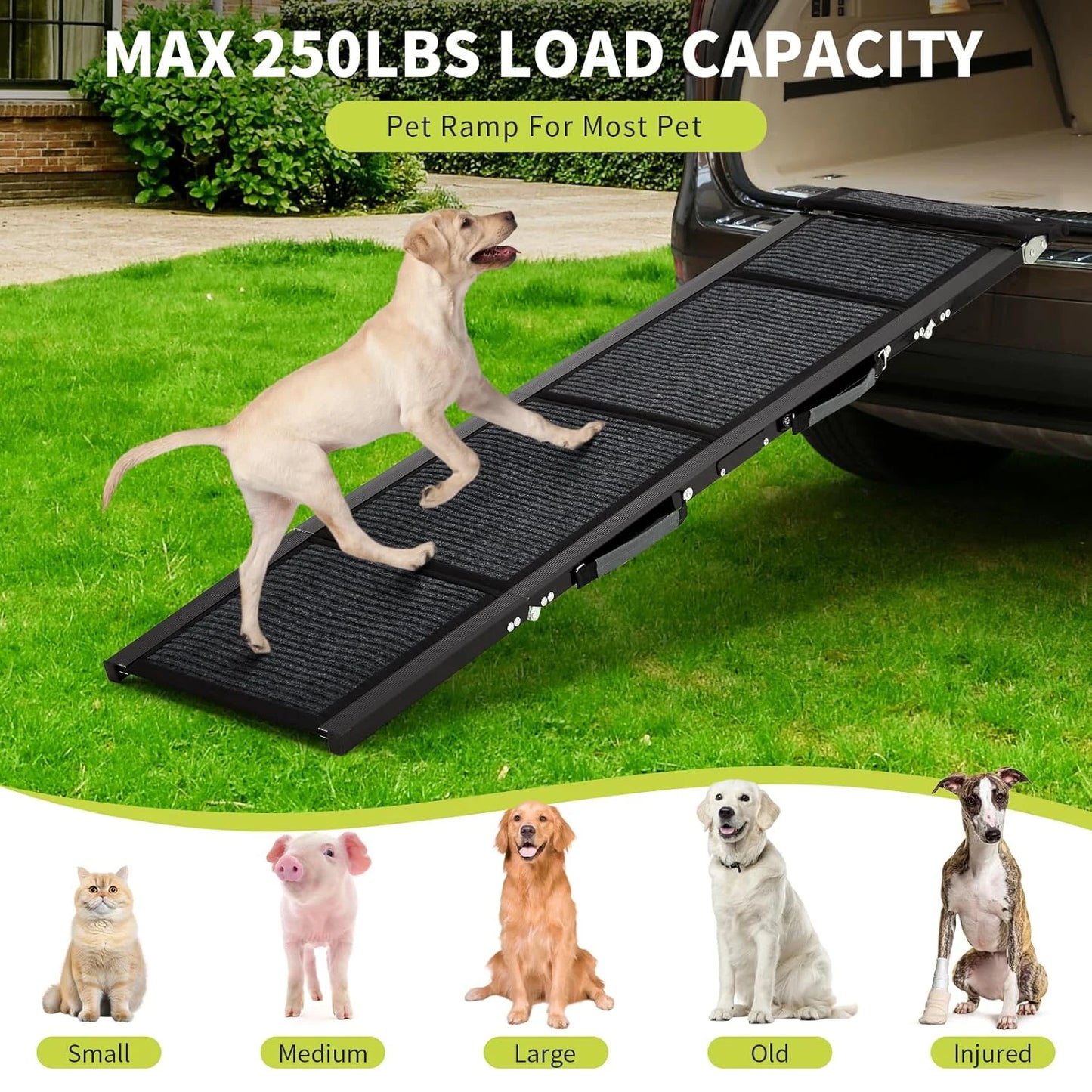 HiMiss Folding Dog Car Ramp With Non Slip Surface Portable