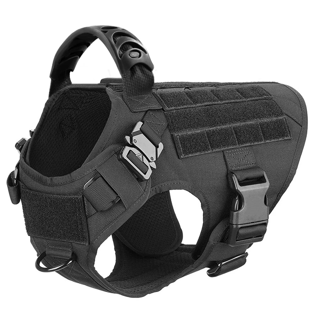 Padded Nylon Dog Harness And Leash Set For Training Walks