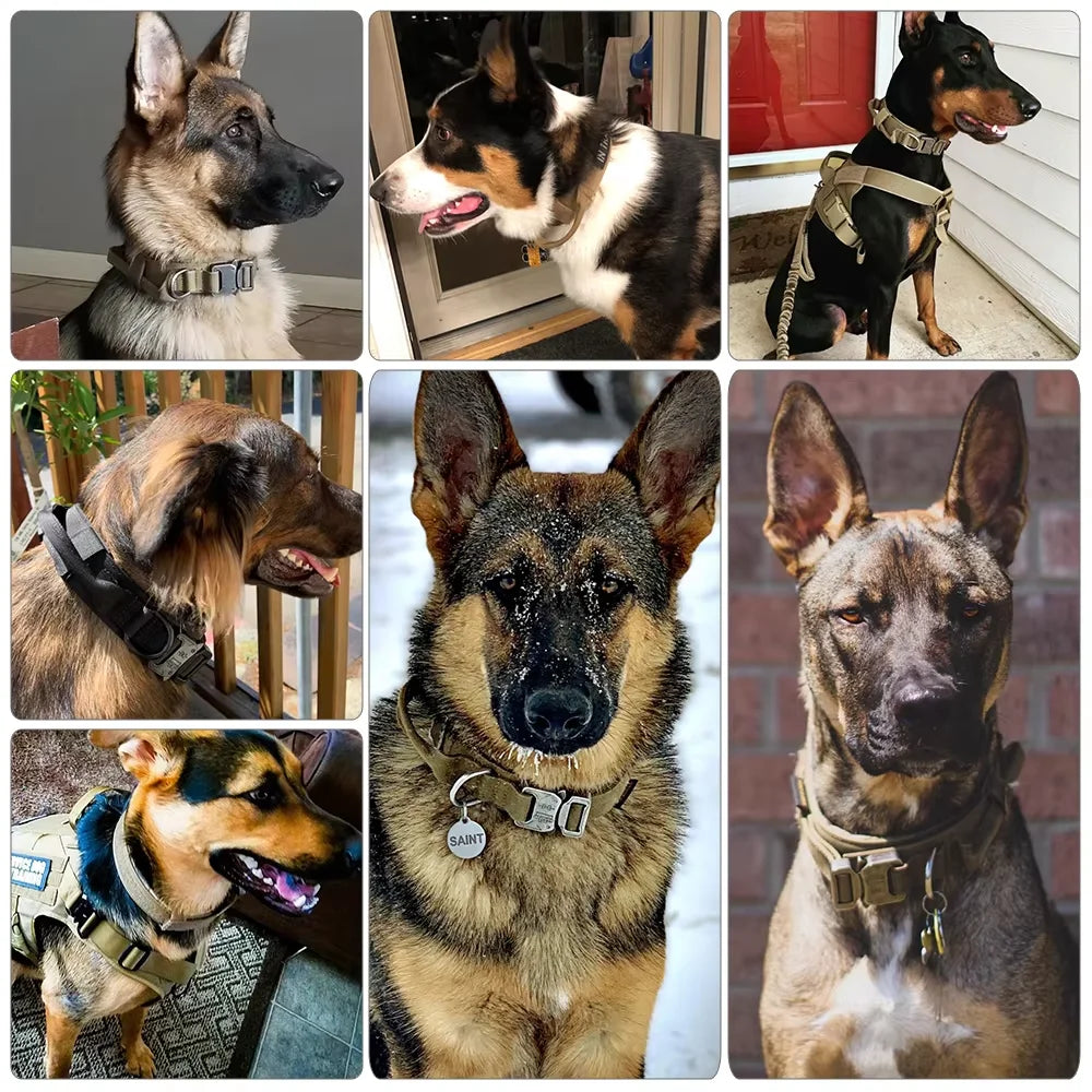 Adjustable Nylon Tactical Dog Collar And Leash With Quick Release