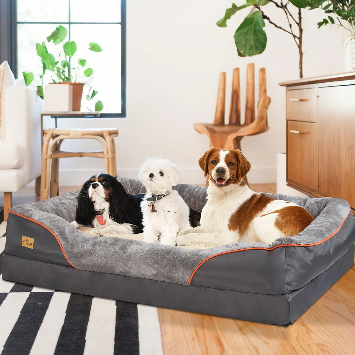 Bingopaw Orthopedic Dog Bed With Soft Bolster And Removable Cover