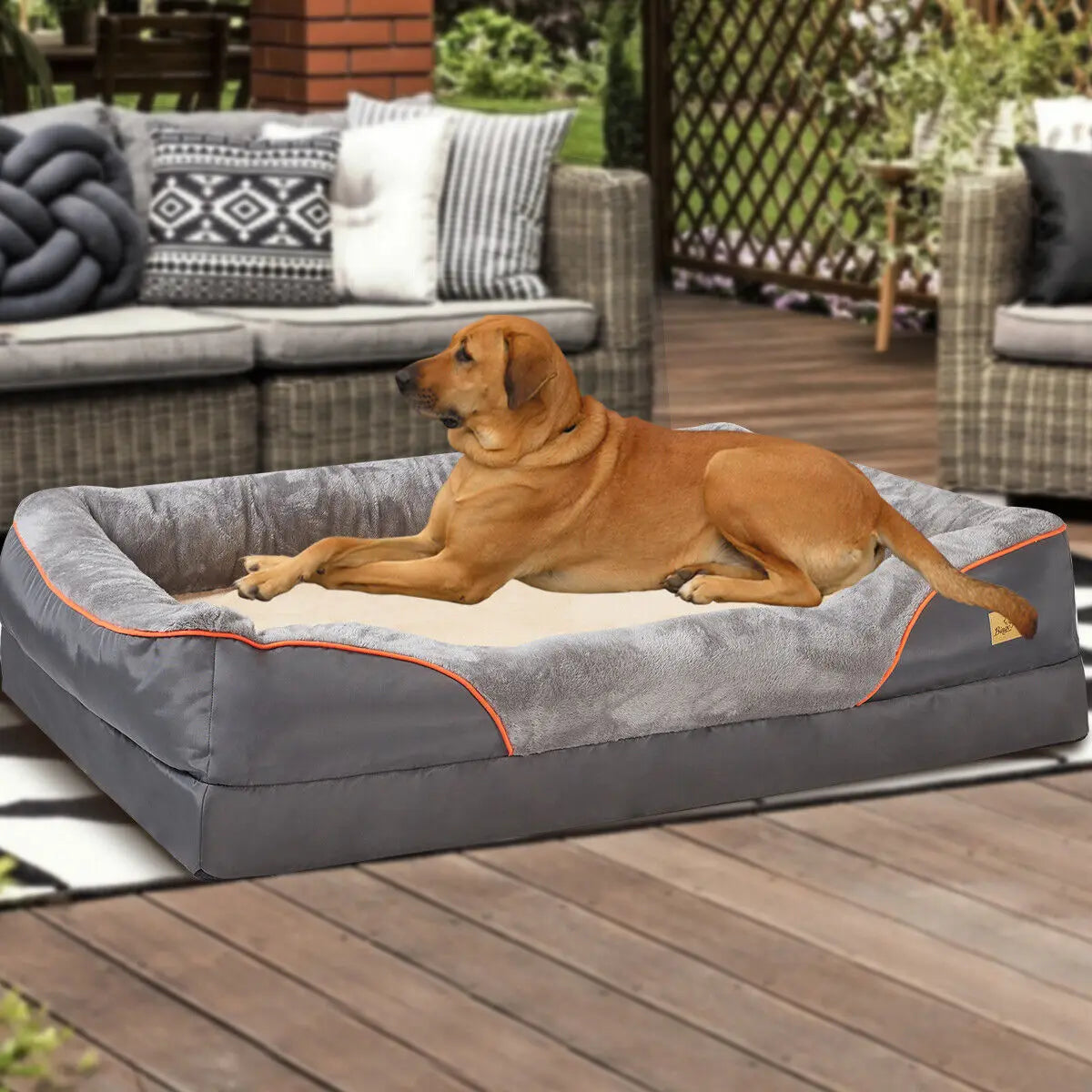 Bingopaw Orthopedic Dog Bed With Soft Bolster And Removable Cover