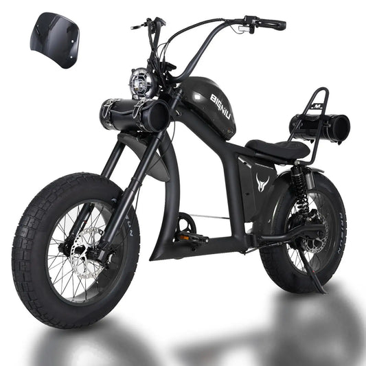 Bigniu Bgx Pro Electric Road Bike With Dual Hydraulic Brakes
